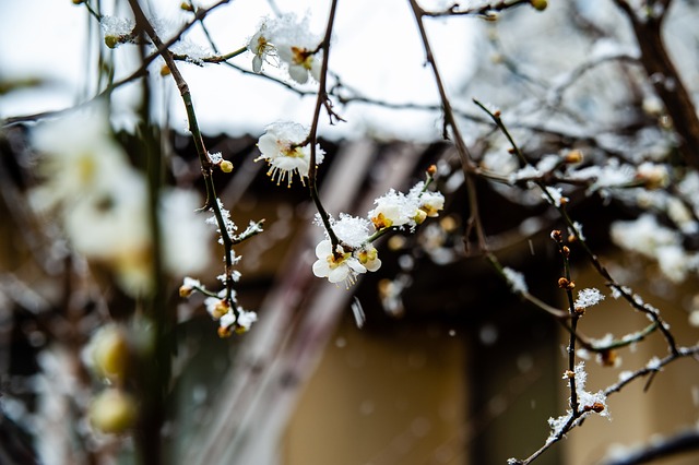 底蕴