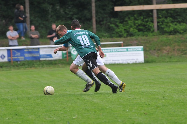 哈基米無疑 哈基米無疑