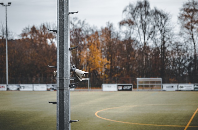 中国启示 中国启示