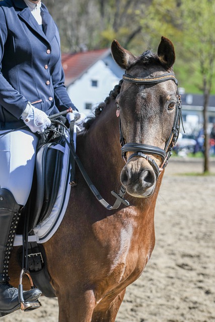 也有类似的 也有类似的