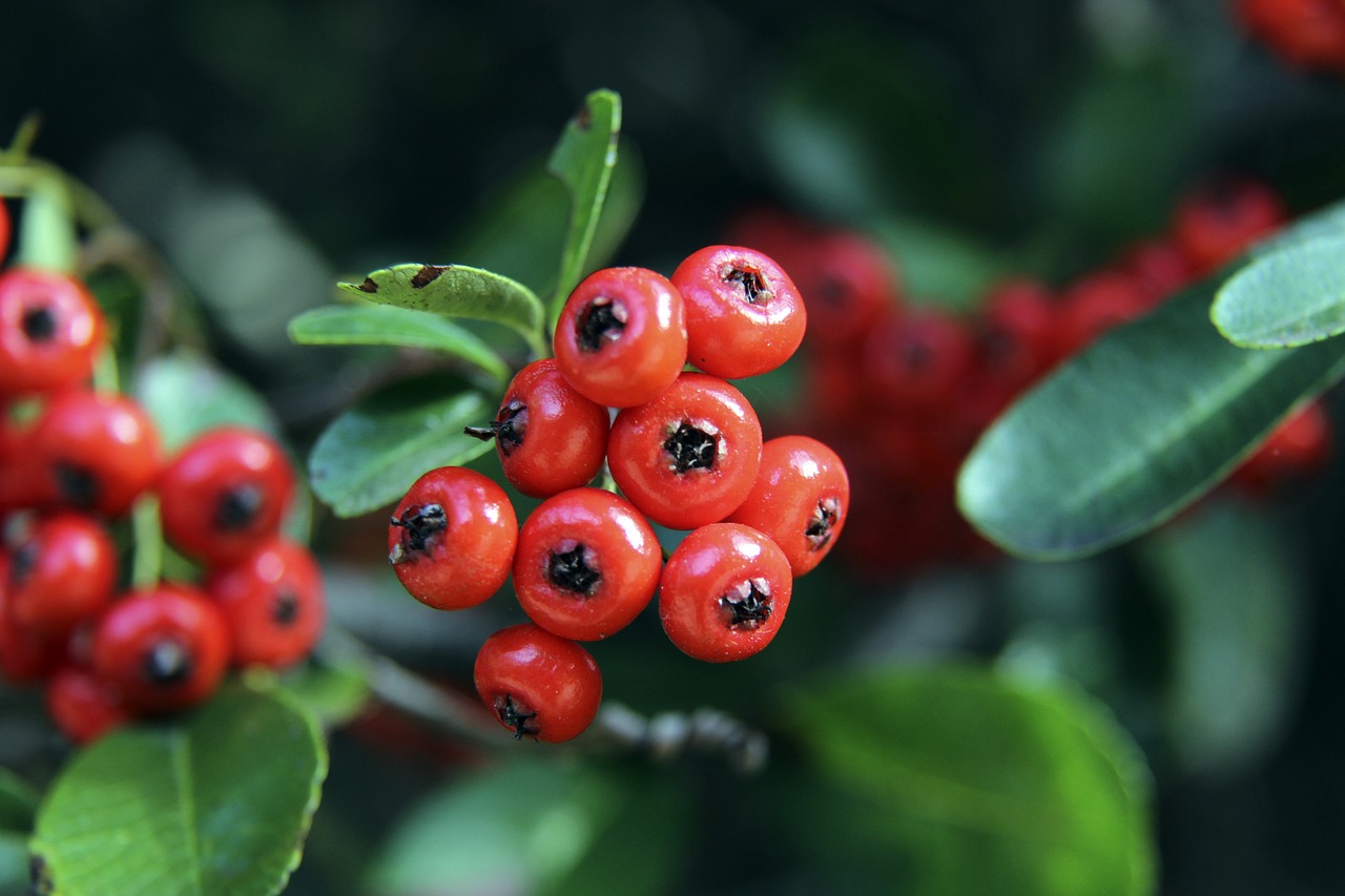 买力得到有 买力得到有