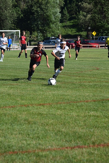 协作能力 协作能力