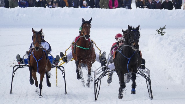 造和心理健 造和心理健
