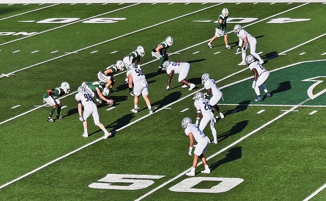 秀的竞技状 秀的竞技状