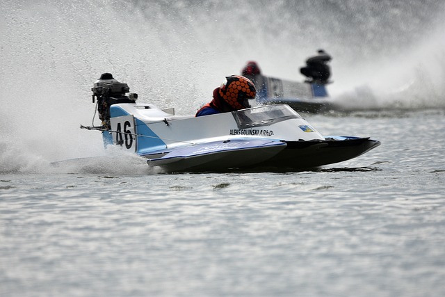 了显著成就 了显著成就