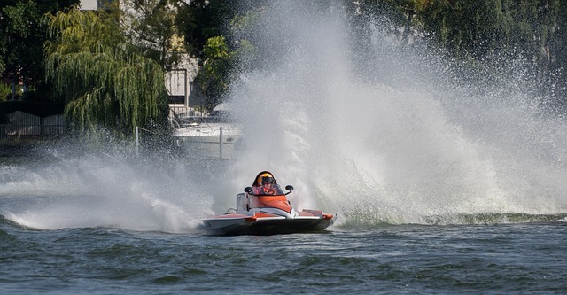 的罗马都将 的罗马都将