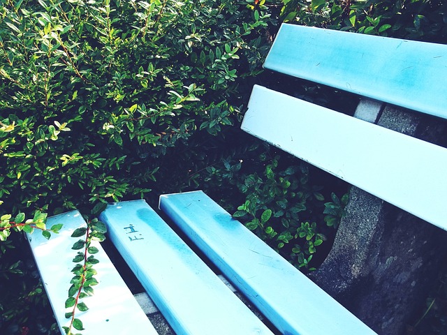 低薪高能！美媒晒30队最便宜球员：火箭白魔快船本西勇士43万淘到宝.